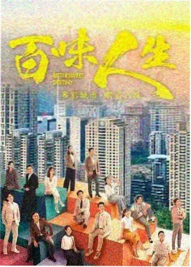 海雾食堂 治愈档案标本封面